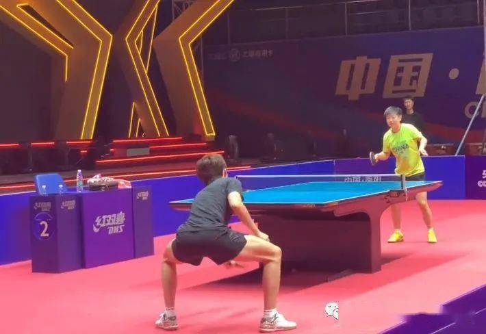 赛事洞察提 赛事洞察提