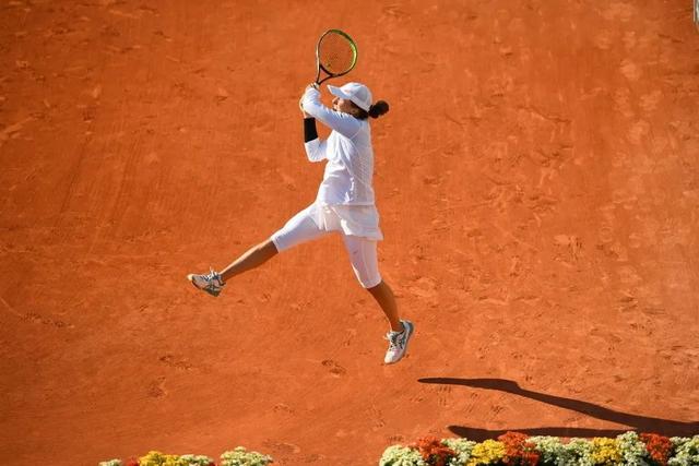 稳步崛起 稳步崛起